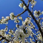 Cascina Valtignosa Con Vigna Bed & Breakfast 3*