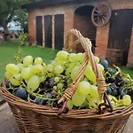 Bed & Breakfast Cascina Valtignosa Con Vigna