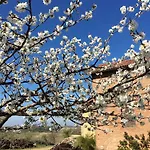 Cascina Valtignosa Con Vigna Cassine