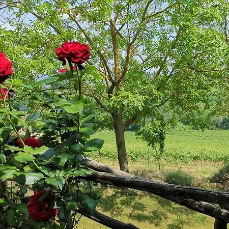 Cascina Valtignosa Con Vigna 3* Cassine