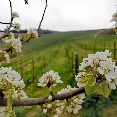 Cascina Valtignosa Con Vigna Cassine