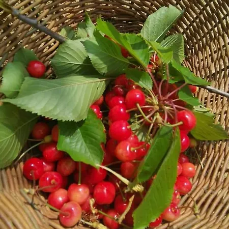 Cascina Valtignosa Con Vigna Couette-café