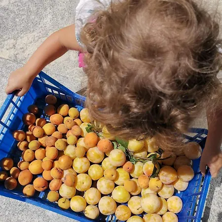 فندق مبيت وإفطار Cascina Valtignosa Con Vigna 3*