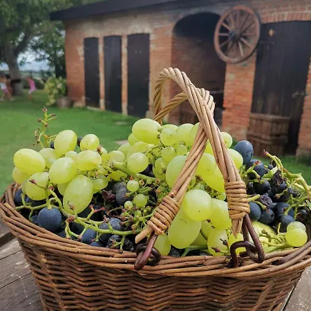 فندق مبيت وإفطار Cascina Valtignosa Con Vigna
