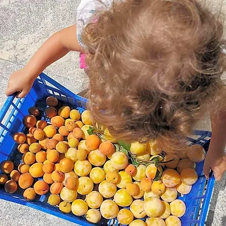 Cascina Valtignosa Con Vigna 3* Cassine