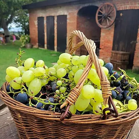 Cascina Valtignosa Con Vigna 3*