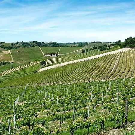 Couette-café Cascina Valtignosa Con Vigna Cassine