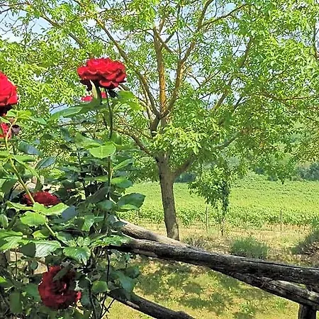 Cascina Valtignosa Con Vigna 3* Cassine