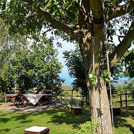 Cascina Valtignosa Con Vigna Отель типа 