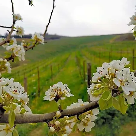 Cascina Valtignosa Con Vigna Couette-café 3*