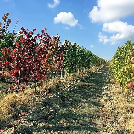Cascina Valtignosa Con Vigna Cassine
