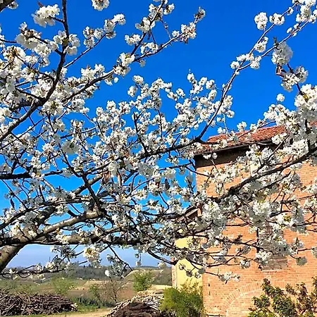 Cascina Valtignosa Con Vigna