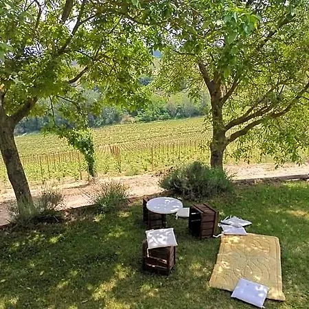 Cascina Valtignosa Con Vigna Cassine