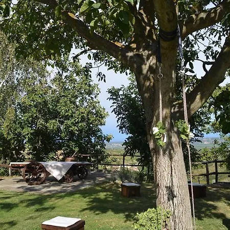Cascina Valtignosa Con Vigna فندق مبيت وإفطار 3*
