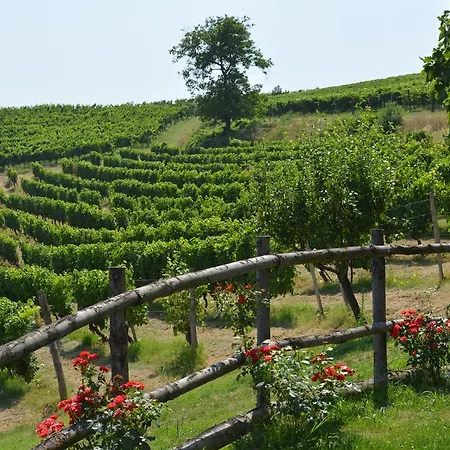 فندق مبيت وإفطار Cascina Valtignosa Con Vigna Cassine