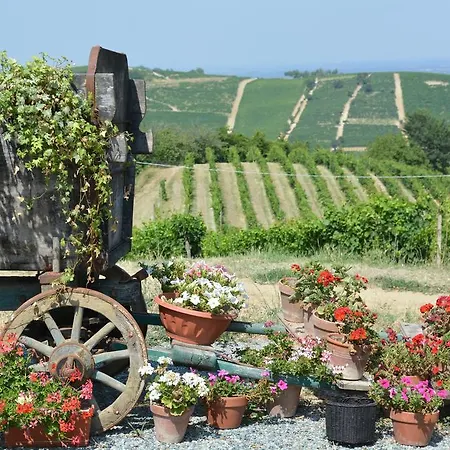Cascina Valtignosa Con Vigna فندق مبيت وإفطار Cassine