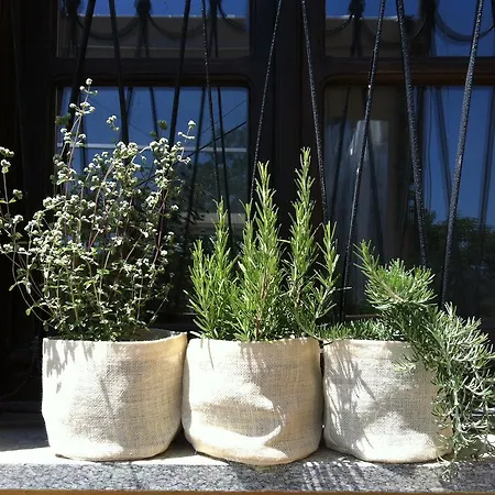 Bed & Breakfast Cascina Valtignosa Con Vigna Cassine