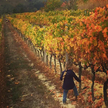 Cascina Valtignosa Con Vigna فندق مبيت وإفطار 3*