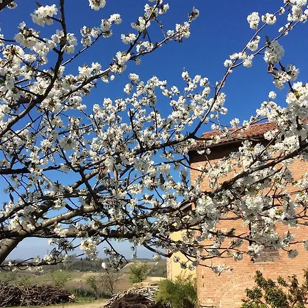 Cascina Valtignosa Con Vigna Кассине