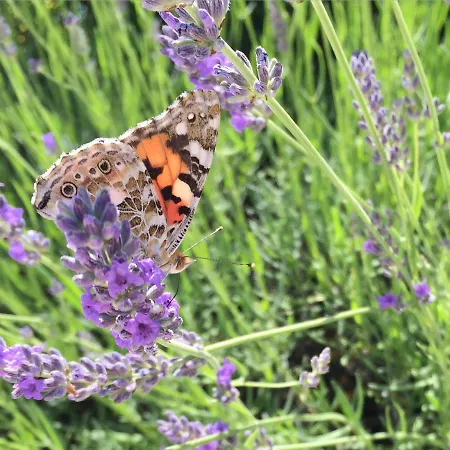 Cascina Valtignosa Con Vigna Cassine