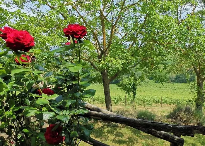Cascina Valtignosa Con Vigna 3* Cassine