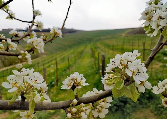 Cascina Valtignosa Con Vigna Cassine