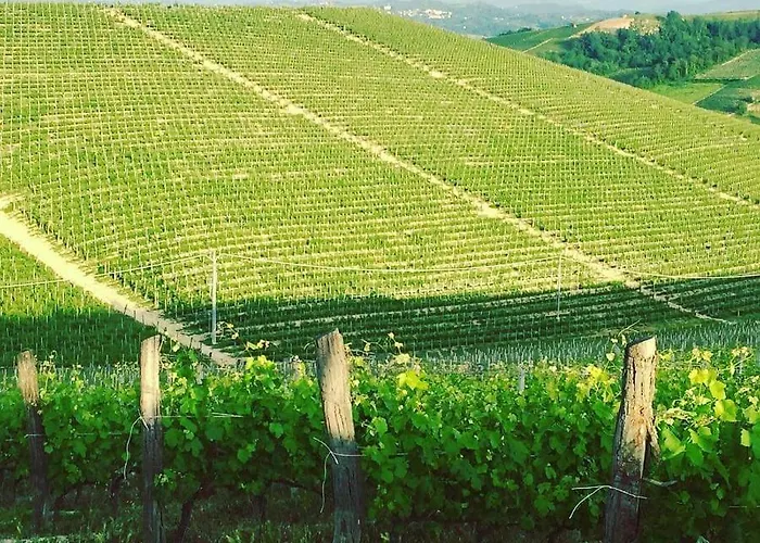فندق مبيت وإفطار Cascina Valtignosa Con Vigna Cassine