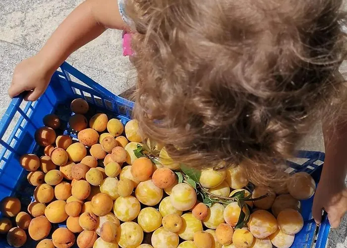 فندق مبيت وإفطار Cascina Valtignosa Con Vigna 3*
