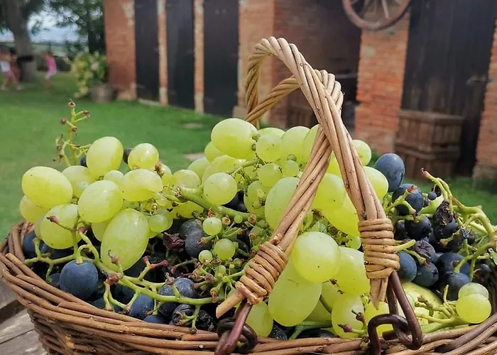 فندق مبيت وإفطار Cascina Valtignosa Con Vigna