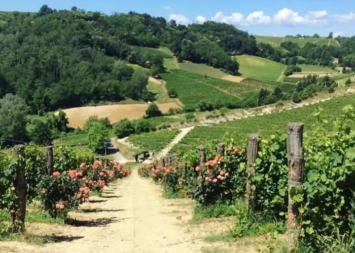 فندق مبيت وإفطار Cascina Valtignosa Con Vigna