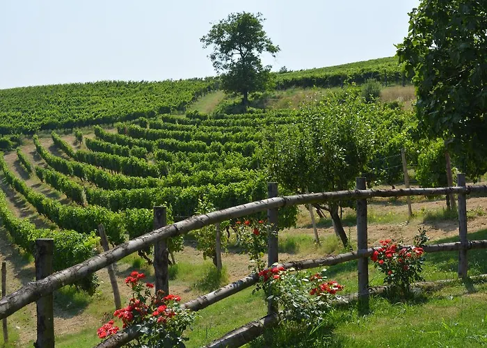 فندق مبيت وإفطار Cascina Valtignosa Con Vigna Cassine