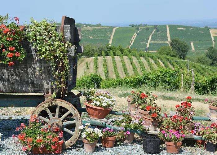 Cascina Valtignosa Con Vigna فندق مبيت وإفطار Cassine