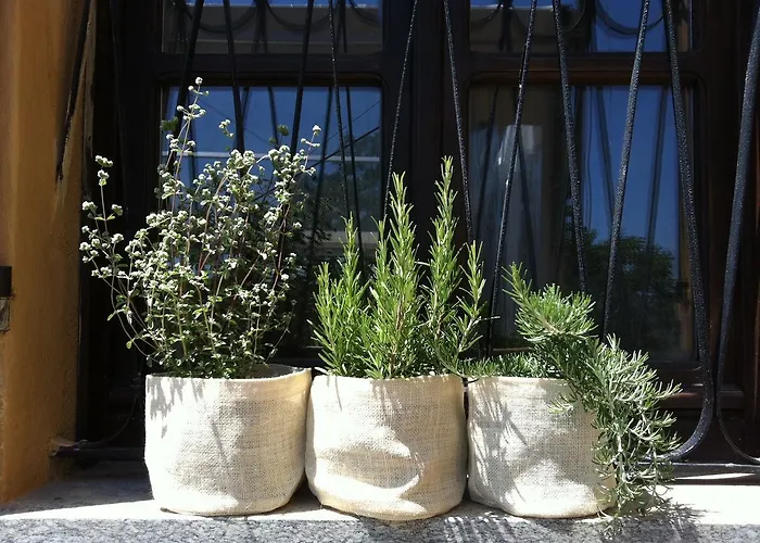 فندق مبيت وإفطار Cascina Valtignosa Con Vigna Cassine