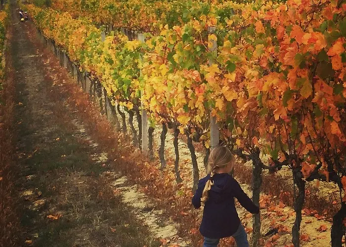 Cascina Valtignosa Con Vigna فندق مبيت وإفطار 3*