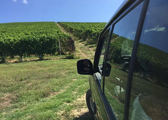 فندق مبيت وإفطار Cascina Valtignosa Con Vigna