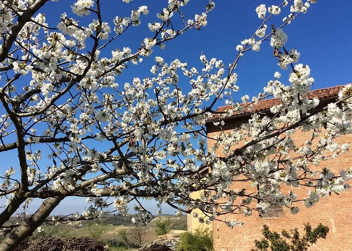 Cascina Valtignosa Con Vigna Cassine